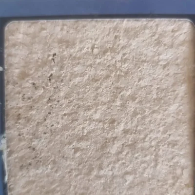 shot-plaster-01.webp